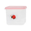 CM Canister Big Apple 1913 Rectangle Medium