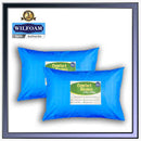 Pillow LS 2 Piece Dragon Bounce B1T1 18X28 Printed