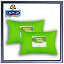 Pillow LS 2 Piece Dragon Bounce B1T1 18X28 Printed