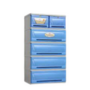 Zooey Drawer Champion 2006 5Layer